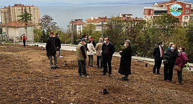 Sinop Belediye Başkanı Barış Ayhan Anlattı "Zeytin Üretimine Ağırlık Verdik"