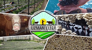 "Uzman Eller" Projesi Başvuruları Başladı