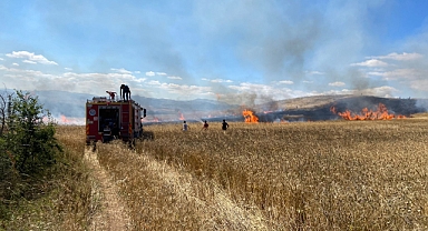 Tokat'taki Yangında Buğday Ekili Alan Zarar Gördü