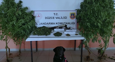 Uyuşturucu Operasyonunda 1 Kişi Gözaltına Alındı