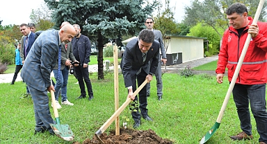 Ortahisar Belediyesi, Kırsaldaki Meyveleri Değerlendirmek İçin Çalışma Başlattı