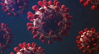 Çin'de HMPV Alarmı: Yeni Salgın Endişesi