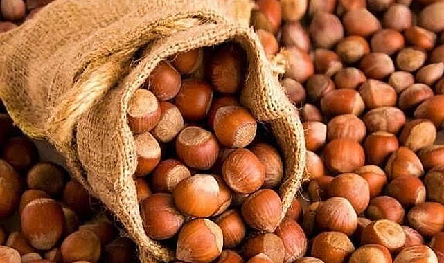 Türkiye'nin Fındık İhracatında İlk Sıra Almanya'nın