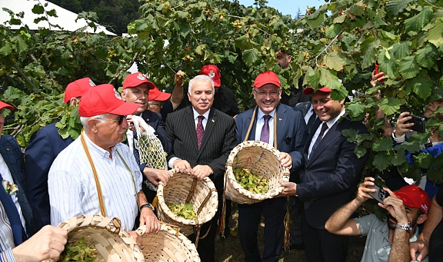Başkan Genç'ten Dünya Fındık Haftasında Kalite ve Verim Çağrısı