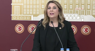 Giresun Milletvekili Elvan Işık Gezmiş'e Yeni  Dönemde Kritik Görevler