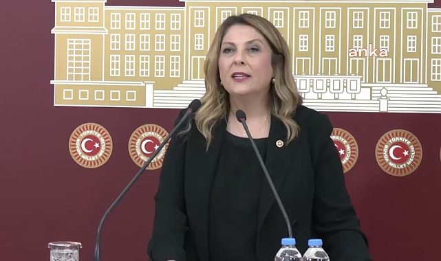 Giresun Milletvekili Elvan Işık Gezmiş'e Yeni  Dönemde Kritik Görevler