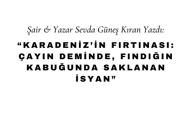 Karadeniz'in Fırtınası: Çayın Deminde, Fındığın Kabuğunda Saklanan İsyan